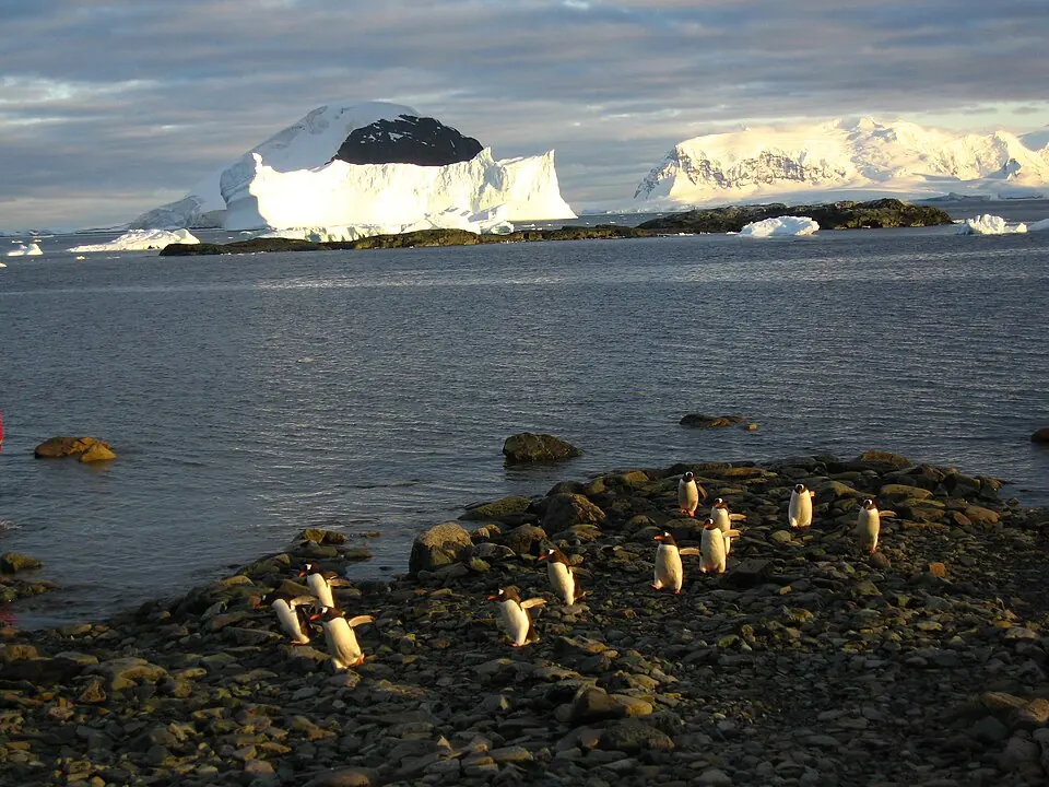 Photograph of Danco Island, Antarctica