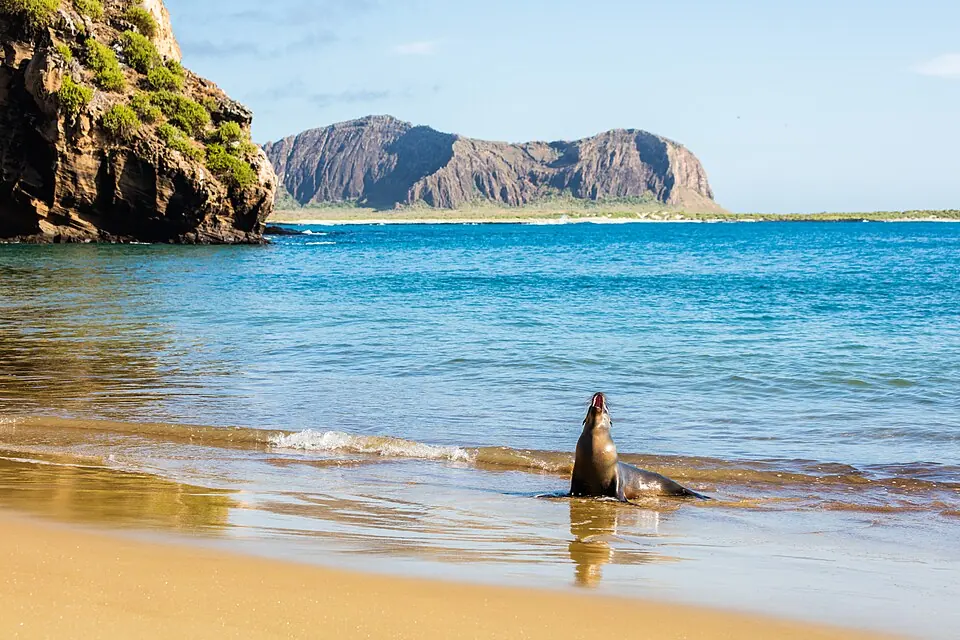 Photograph of Galápagos Islands, Ecuador