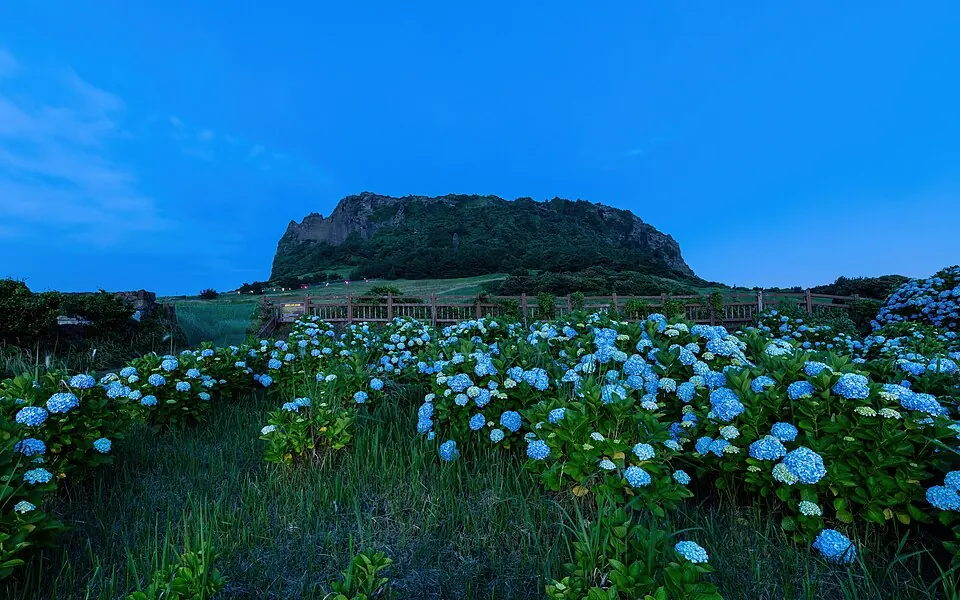 Photograph of Jeju Island, South Korea