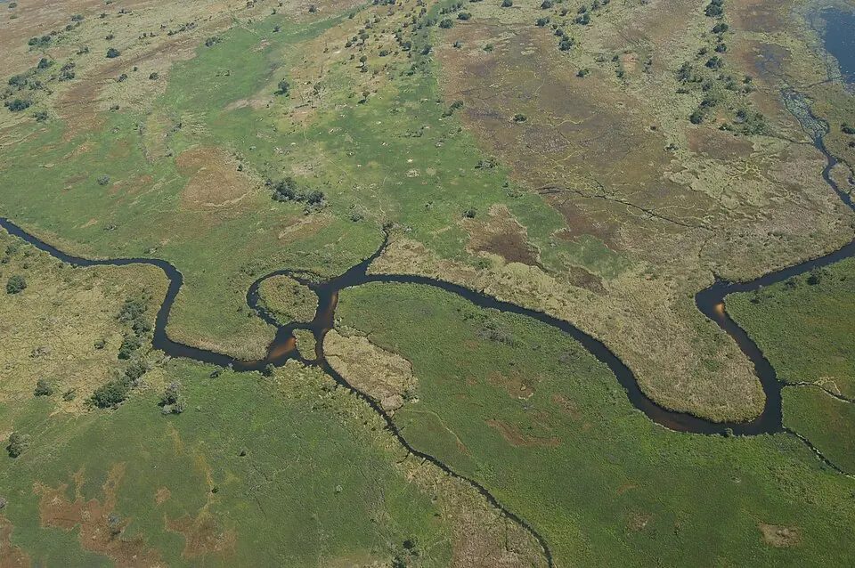 Photograph of Okavango Delta, Botswana